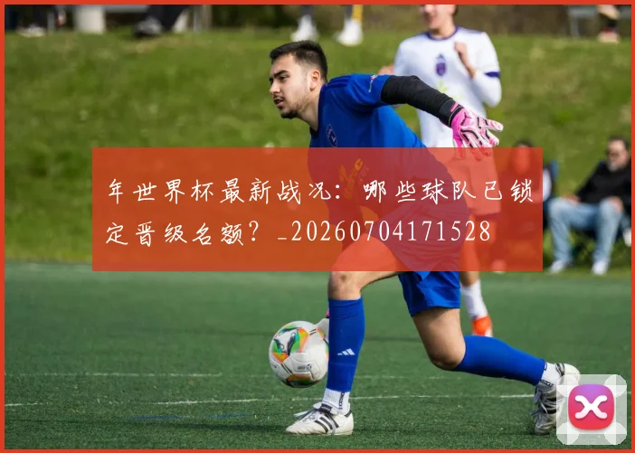 年世界杯最新战况：哪些球队已锁定晋级名额？_20260704171528